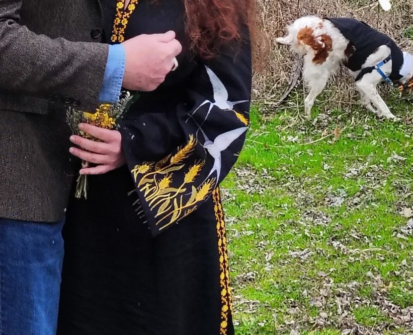 Pets in your wedding